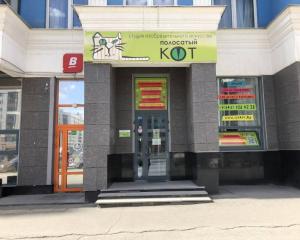 Фотография Полосатый кот 5
