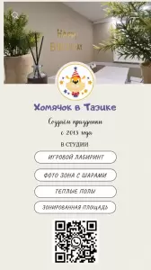 Фотография Хомячок в тазике 3