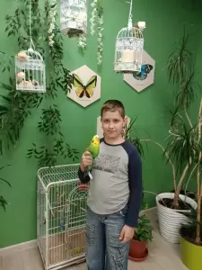 Фотография Импасто 0